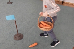 Carrot Day Grupa 5